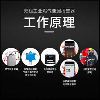凌天 矿用氢气测定器 CQH1000
