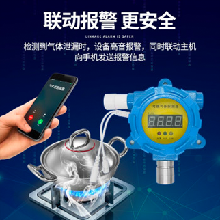 凌天 矿用氢气测定器 CQH1000