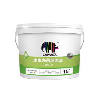 尚享净菌墙面漆CJ530,15L/桶