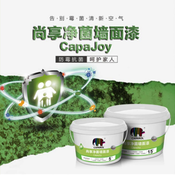 尚享净菌墙面漆CJ530,15L/桶