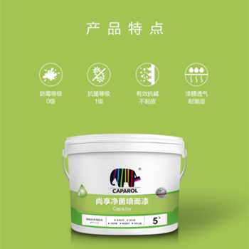 尚享净菌墙面漆CJ530,5L/桶