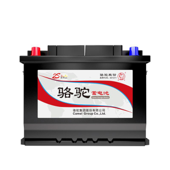 骆驼CAMEL 1S免维护铅酸电池 正装粗锥高原专供 6-QW-165MF