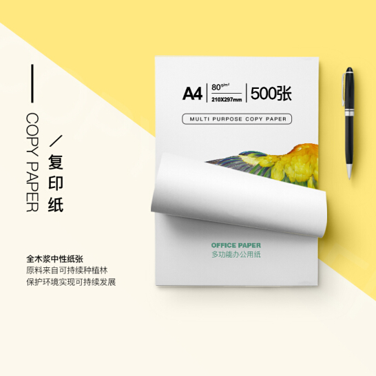 得印(befon) 高品质80g A4 复印纸 500张/包 多功能学生办公用纸 打印纸 80克A4复印纸打印纸白纸单包